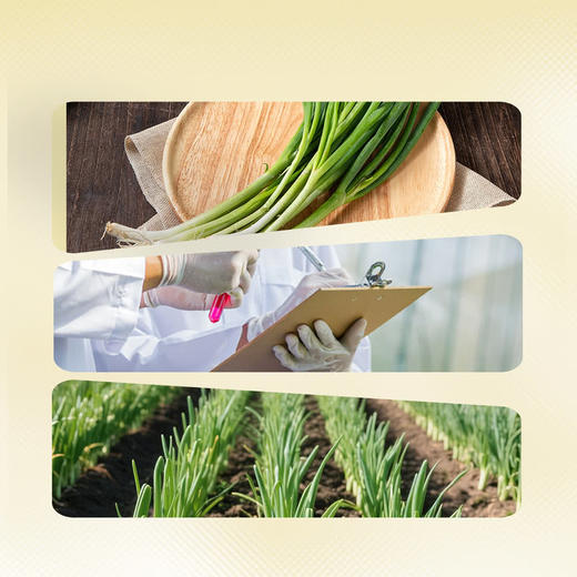 MM 山姆 优野 高原香葱 180g 商品图4