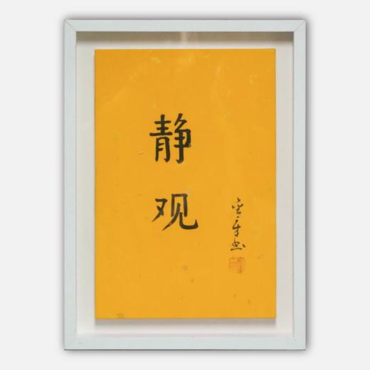 陈金章《静观》书法原作33CM*22CM 手写宣纸作品[含框] 商品图0