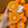进口2PH澳柑 甜蜜多汁橘子桔子  柑橘子 商品缩略图0
