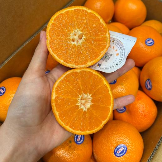 进口2PH澳柑 甜蜜多汁橘子桔子  柑橘子 商品图0