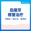 【根管治疗单颗】根管治疗|后磨牙|牙髓炎·根尖炎|增填充 商品缩略图0
