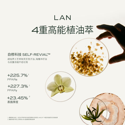 【大爆款】LAN蘭时光油3.0 | 蕴含10%兰花精萃、润而不油、改善wenwenlulu、细腻肤质 商品图2