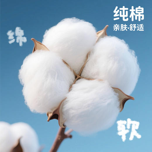 贝贝怡套头套装ZB3ET010 商品图3