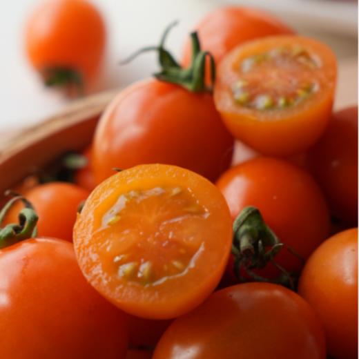 【斌哥优选】蜜橙小番茄 10余年研发新种源，皮脆爆汁，8甜2酸黄金口感比例，番茄界的黑马，今年的头茬鲜果。 商品图0