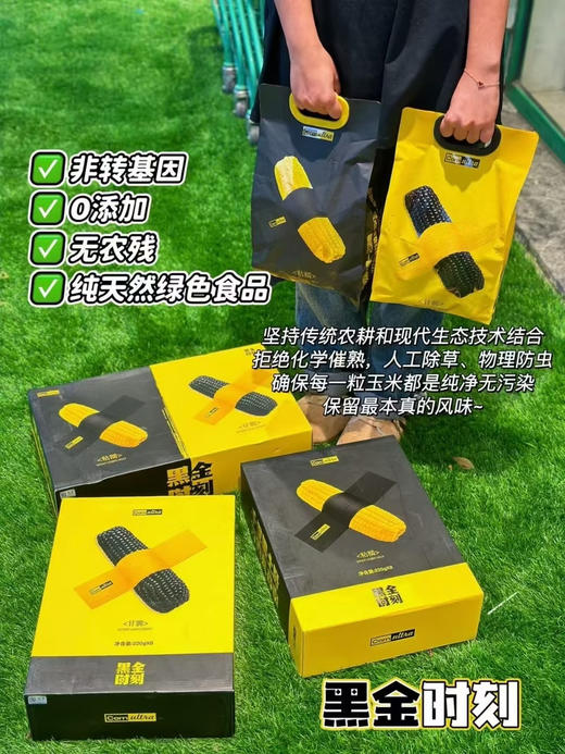Corn ultra ✨ 黑金糯玉米简直是玉米界的宝藏！
脆嫩清甜、清香四溢，花青素含量是蓝莓5倍🫐 0防腐、0农药、0化肥，非转基因超安心🌿 满满天然黑色素，健康又美味，开启养生新体验～ 商品图2