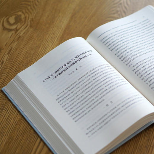 南大长三角发展研究（第三辑）  洪银兴 刘志彪 范从来 主编 商品图4