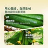 MM 山姆 小青瓜（黄瓜）1kg 商品缩略图2