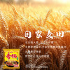 【店铺专享】今麦郎香锅地道辣面香菜锅牛油锅15连包/24袋整箱装 商品缩略图2