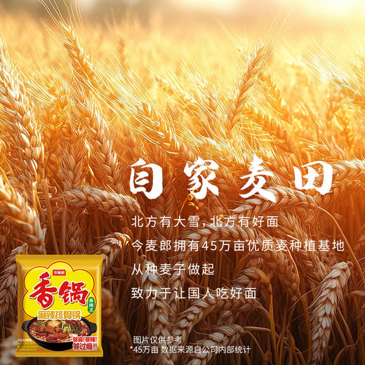 【店铺专享】今麦郎香锅地道辣面香菜锅牛油锅15连包/24袋整箱装 商品图2