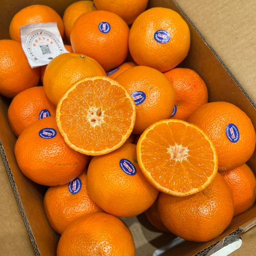 进口2PH澳柑 甜蜜多汁橘子桔子  柑橘子 商品图2