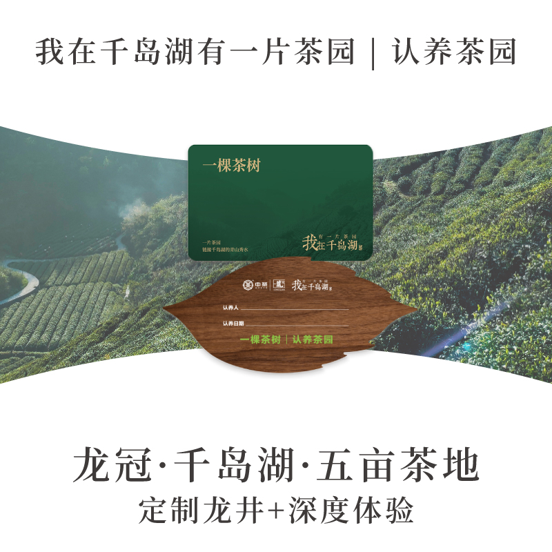 我在千岛湖有一片茶园【五亩茶地】