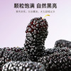 【10袋到手仅39.9元】【杞里香黑桑葚干无沙桑椹子100g/袋】泡茶泡酒非免洗即食桑葚旗舰店
自然生长  口感软甜 干净无沙 商品缩略图4