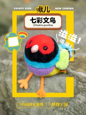 看到彩虹在天上飞？