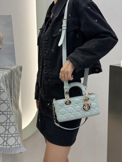 迪奥 Lady D-joy 横版戴妃包小号 六色合集（LZ） 商品图11