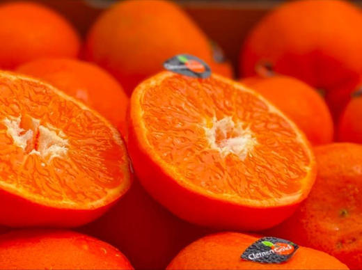 【京津冀包邮】南非ClemenGold克莱蒙蜜橘🍊，夏天里甜蜜的味道，个头均匀， 果肉非常饱满，一口爆汁的南非“小金矿”，皮薄无核、冰镇爽口的ClemenGold蜜橘，承包你三伏天的快乐！4斤/箱 商品图0