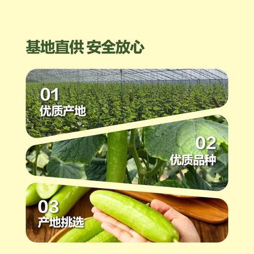 MM 山姆 奶油小黄瓜 850g 商品图2