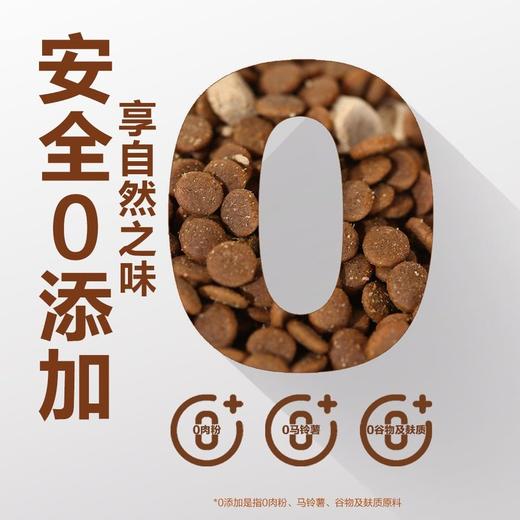 MM 山姆 伯纳天纯 原始狩猎系列全价犬粮 5.2kg 商品图8