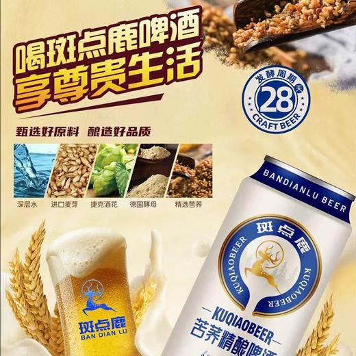 斑点鹿10度500ml苦荞精酿啤酒【一箱请拍12听】 商品图2