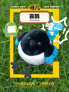 鸦科大佬的从容！