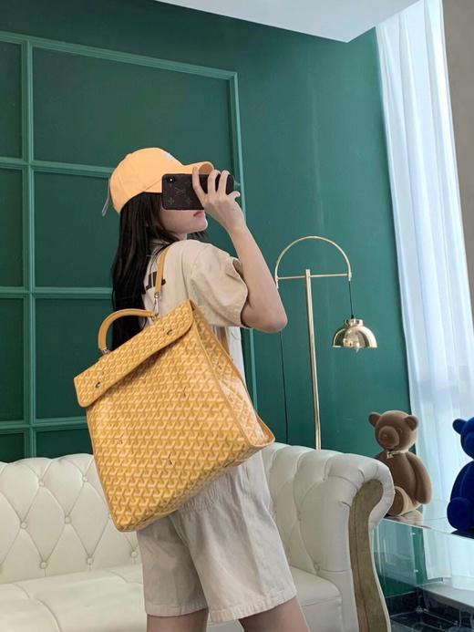 戈雅-狗牙 狗牙大背包  装下全世界（XS） 商品图13