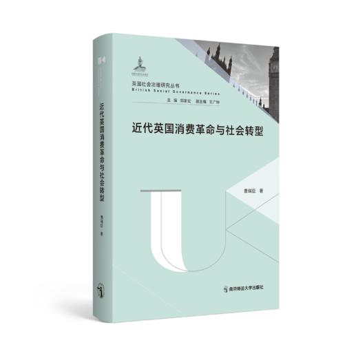 英国社会治理研究丛书（第1辑10册）   丛书主编：郭家宏   南京师范大学出版社   正版书籍 商品图8