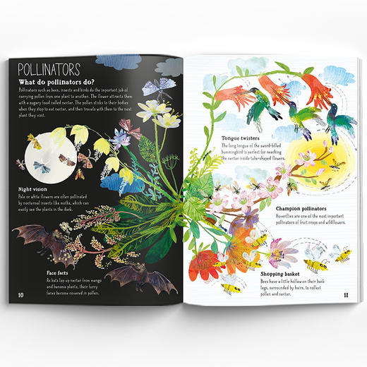 The Big Book of...科普大书 商品图3