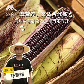 生态紫甜糯玉米 | 合作生产*Eco-Corn  |  Partner Production