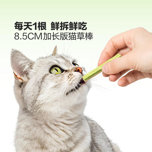 MM 山姆 小壳 宠物零食 双层猫草冻干棒 90g 商品图3