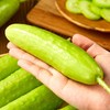 MM 山姆 奶油小黄瓜 850g 商品缩略图4