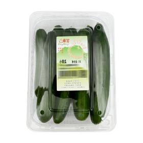 MM 山姆 小青瓜（黄瓜）1kg