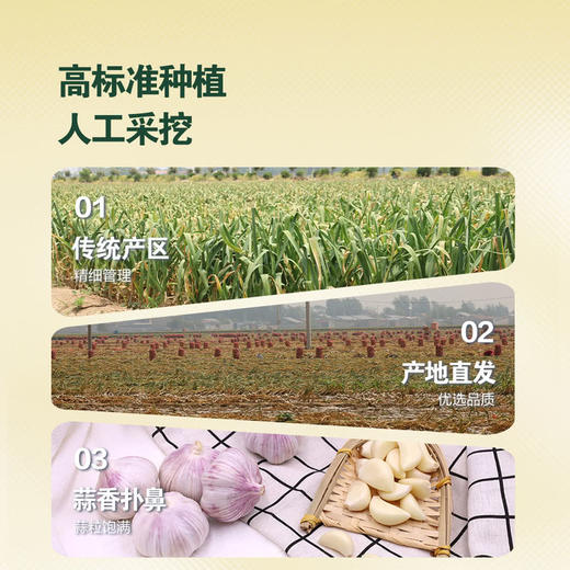 MM 山姆 山东大蒜 1kg 商品图2