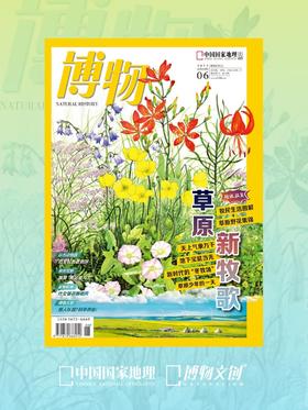 美丽的草原我的家，风吹草绿遍地花