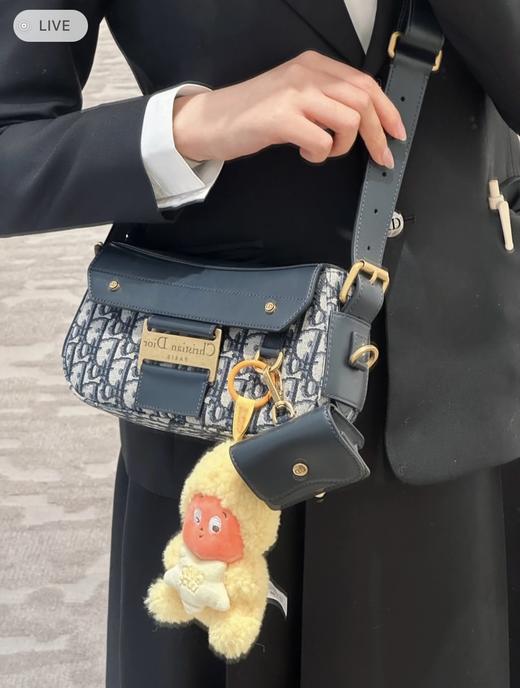 迪奥 STREETCHIC 单肩包斜挎包小号（LZ） 商品图9