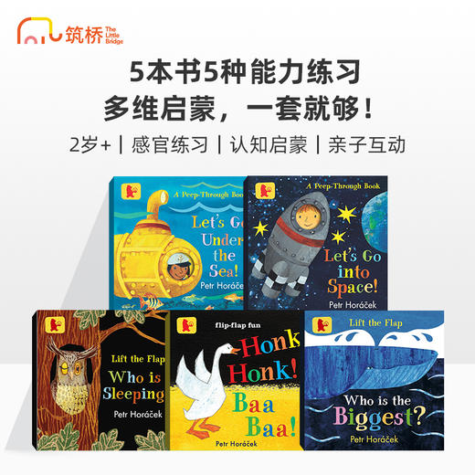 皮特·霍拉塞克的多彩世界 商品图0