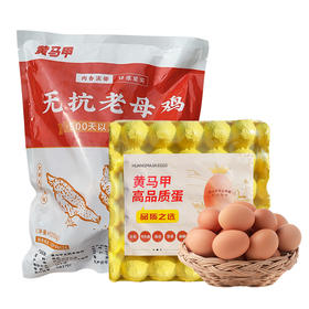 黄马甲-无抗老母鸡&高品质蛋