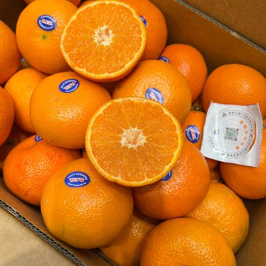进口2PH澳柑 甜蜜多汁橘子桔子  柑橘子 商品图1