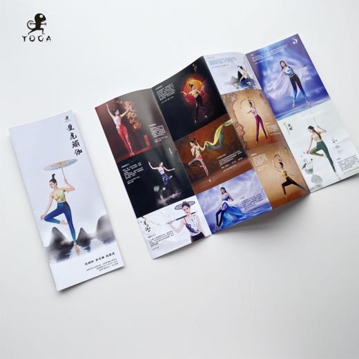 壁虎画册 商品图2