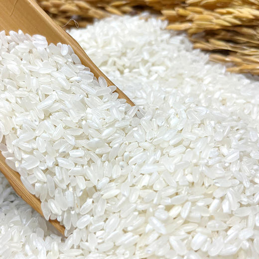 珍粒香有机龙凤山五常大米5kg 商品图4