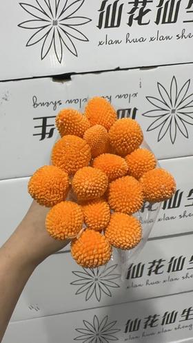 永生花材 | 黄金球橙色