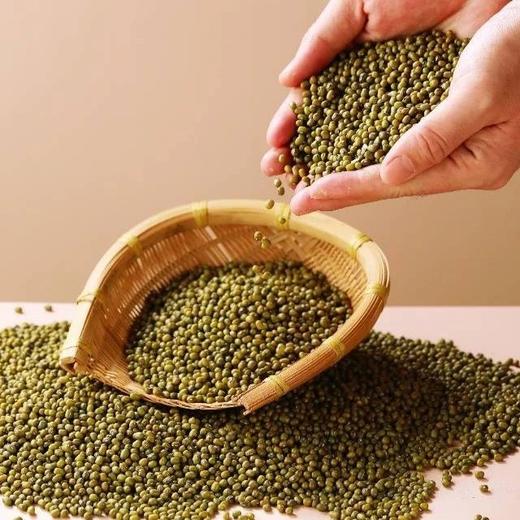 29.9到手2斤装，有机绿豆每一袋都有有机码当季新豆颗粒圆润饱秒煮开花清凉糖水一包搞定基地直邮 商品图0