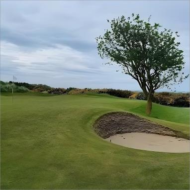 圣安德鲁斯朱比利球场 The Jubilee Course at St. Andrews Links | 圣安德鲁斯高尔夫 | 苏格兰高尔夫  | 英国高尔夫球场俱乐部 | 欧洲高尔夫 商品图4