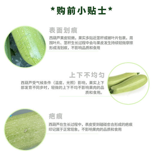 MM 山姆 翠绿西葫芦 1kg 商品图3