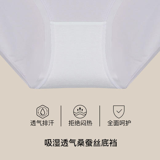 【满4条/7.5折】（中版）【秀黛】女经典高支棉平角裤女士内裤【1条】S6333020T【门店同款】【内裤非质量问题不退换】 商品图2