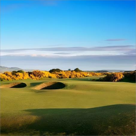 圣安德鲁斯新球场 The New Course at St. Andrews Links | 圣安德鲁斯高尔夫 | 苏格兰高尔夫  | 英国高尔夫球场俱乐部 | 欧洲高尔夫 商品图3