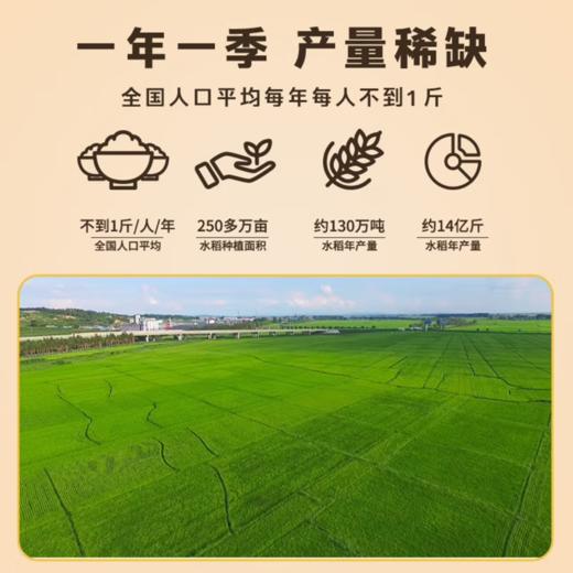 【扫码可溯源】【特等新国标】绿色五常大米5kg 商品图4