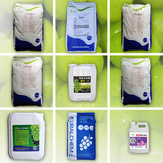 葡萄营养套餐组合 商品图0