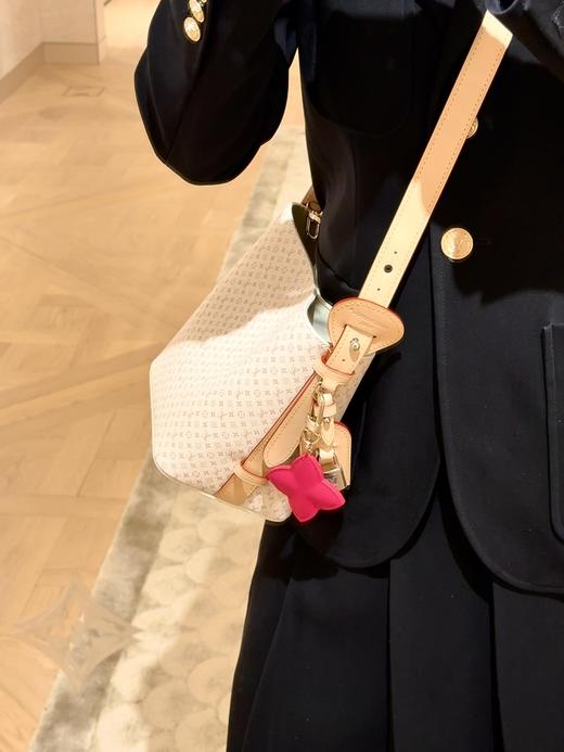 驴家AII In BB 手袋 型号: M15130沙丘色（CB） 商品图2