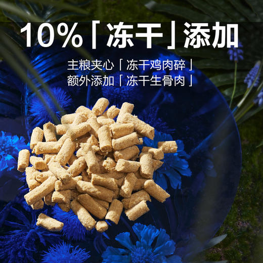 MM 山姆 蓝氏 猎鸟乳鸽均衡营养全价猫粮 5kg 商品图3