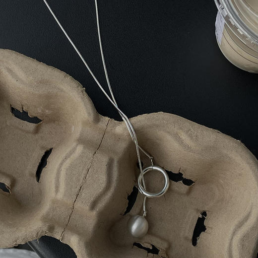 银色铜长款项链流苏高级感美式小众设计百搭蛇骨链 商品图6