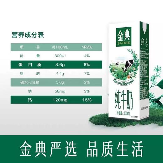 伊利金典纯牛奶250ml*12  生产日期25年7月 商品图4